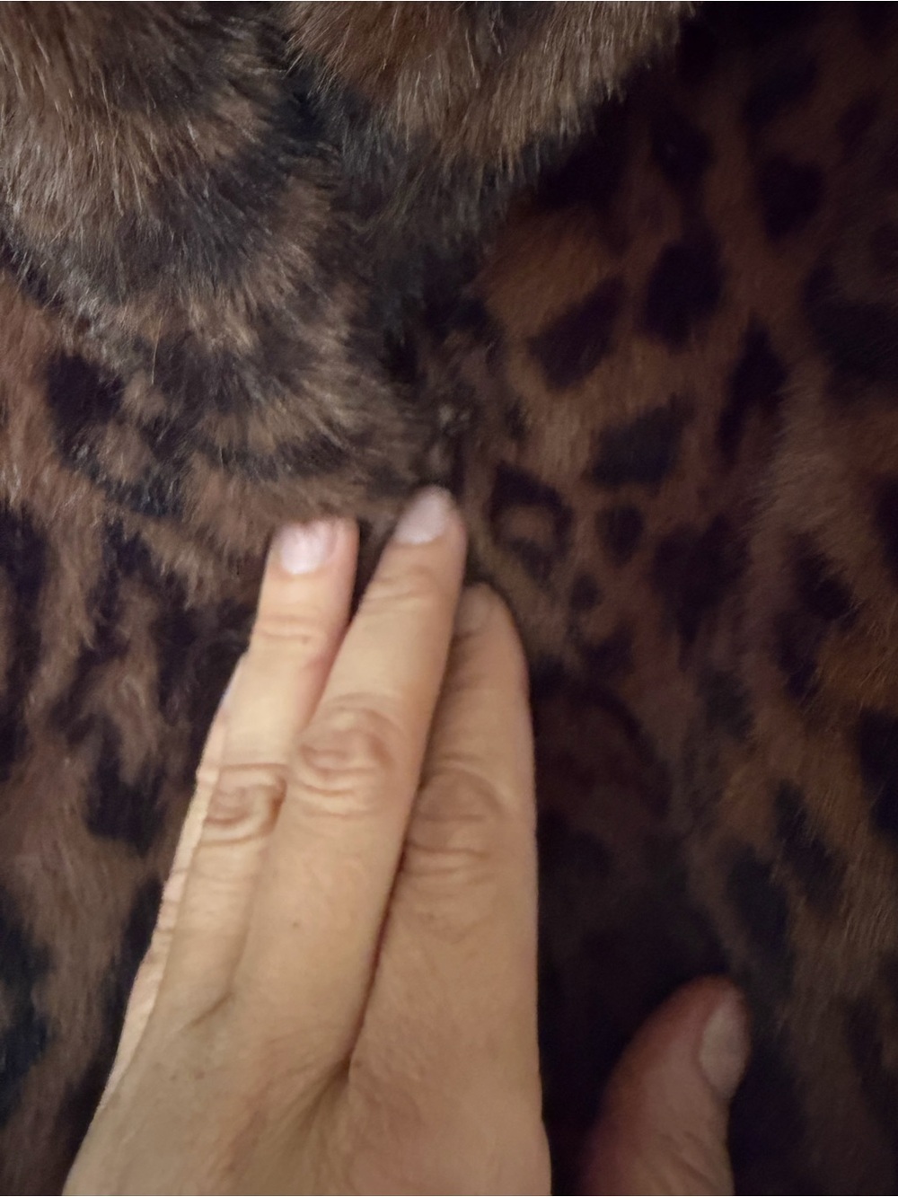 Laundry by Shelli Segal Leopard Faux-Fur Jacket - Brown size large - Picture 4 of 8